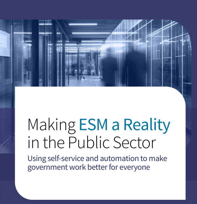 Making ESM a Reality in the Public Sector